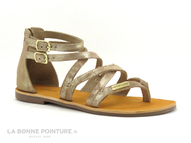 Tropeziennes PHARELL Beige Or - 23084 - Sandale Montante Tong 3 Tropeziennes PHARELL Beige Or - 23084 - Sandale Montante Tong